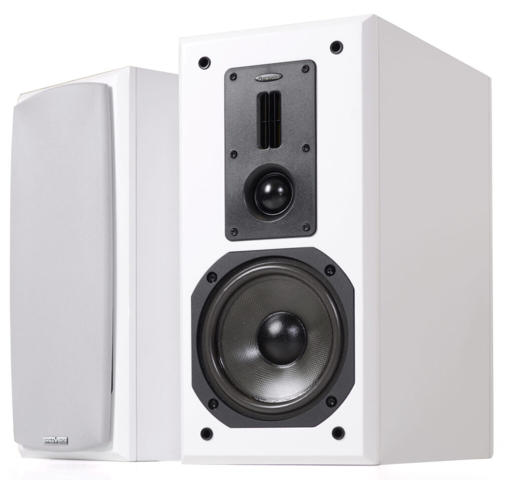 Dynavoice Definition DM-6 wit